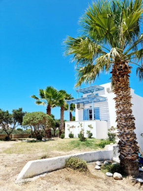 Kalamuria Studios, Plaka